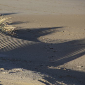 Fotografia intitolato "esprit de dune" da Gerard Jeanjean, Opera d'arte originale