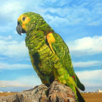 Malerei mit dem Titel "oiseau des îles" von Gerard Monborren, Original-Kunstwerk, Öl Auf Keilrahmen aus Holz montiert
