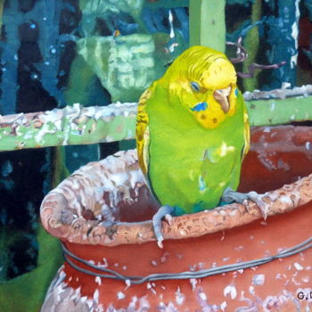 Painting titled "perruche 1" by Gerard Monborren, Original Artwork, Oil