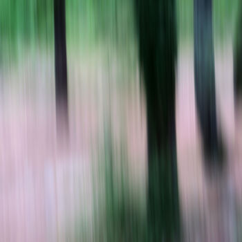 Photography titled "Forêt" by Gérard Romain, Original Artwork, Digital Photography Mounted on Aluminium