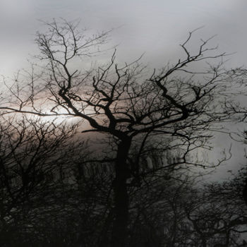 Fotografia intitulada "Torsion hivernale" por Gérard Vouillon, Obras de arte originais