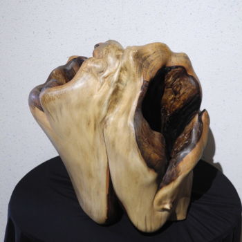 雕塑 标题为“Autour du Vide 3” 由Gérard Didier, 原创艺术品, 木