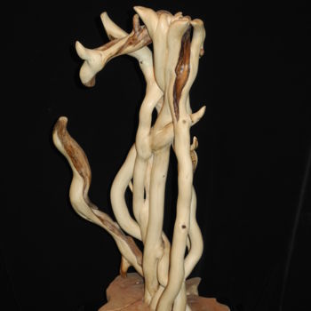 Sculpture titled "LIENS 2" by Gérard Didier, Original Artwork, Wood