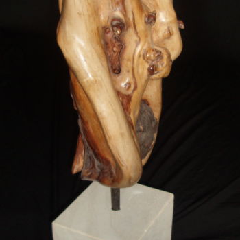 Sculpture titled "AFFINITE" by Gérard Didier, Original Artwork, Wood