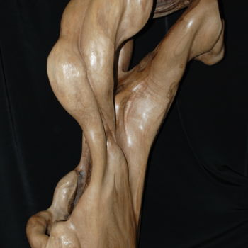 Sculpture intitulée "OUVERTURE" par Gérard Didier, Œuvre d'art originale, Bois
