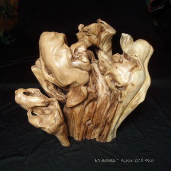 雕塑 标题为“PETULANCE” 由Gérard Didier, 原创艺术品, 木