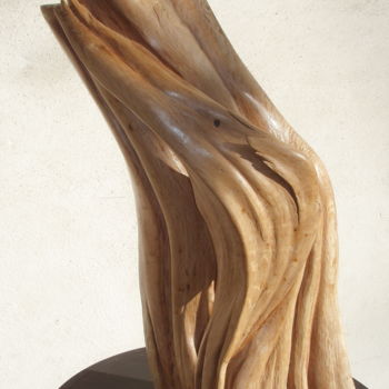 Rzeźba zatytułowany „INFLECHIR” autorstwa Gérard Didier, Oryginalna praca, Drewno
