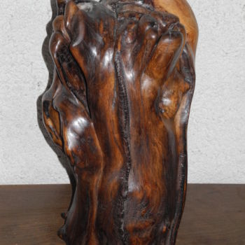 Sculpture titled "CYTISE 2" by Gérard Didier, Original Artwork, Wood