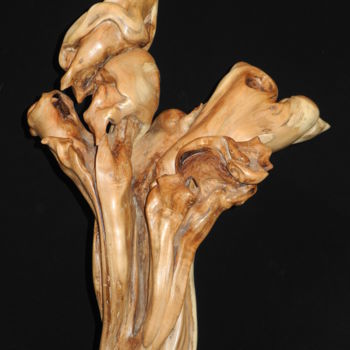 Sculpture titled "Gerbe" by Gérard Didier, Original Artwork, Wood