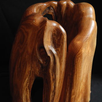 Sculptuur getiteld "AUTOUR DU VIDE 1" door Gérard Didier, Origineel Kunstwerk, Hout