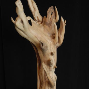 雕塑 标题为“PRUNIER MYROBOLAN” 由Gérard Didier, 原创艺术品, 木