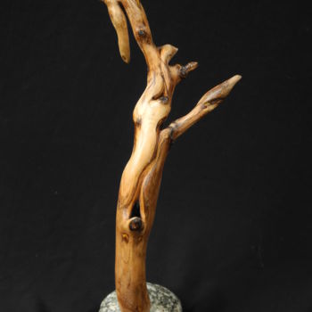 Sculpture titled "CYTISE 3" by Gérard Didier, Original Artwork, Wood