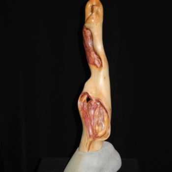 Escultura titulada "PRUNUS SPINOSA" por Gérard Didier, Obra de arte original, Madera