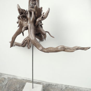 Sculpture titled "EXPANSION" by Gérard Didier, Original Artwork, Wood