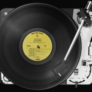 Fotografia zatytułowany „Vinylography 44 Ali…” autorstwa Gerd Schaller, Oryginalna praca, Fotografia cyfrowa Zamontowany na…