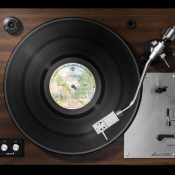 Fotografia zatytułowany „Vinylography 67 Fle…” autorstwa Gerd Schaller, Oryginalna praca, Fotografia cyfrowa Zamontowany na…