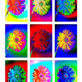 Photography titled "9erMacGerbera8G" by Gerhard Bumann, Original Artwork, Manipulated Photography