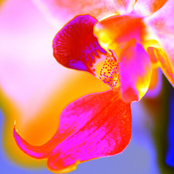 "Bum_Orchidee97" başlıklı Fotoğraf Gerhard Bumann tarafından, Orijinal sanat, Fotoşoplu fotoğrafçılık