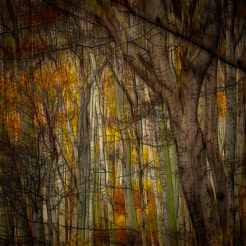 Grafika cyfrowa / sztuka generowana cyfrowo zatytułowany „Autumn” autorstwa Germaneart, Oryginalna praca, Malarstwo cyfrowe