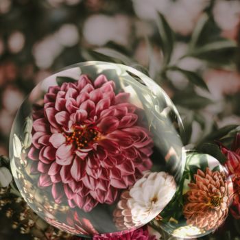 Arts numériques intitulée "Dahlias" par Germaneart, Œuvre d'art originale, Travail numérique 2D