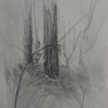 图画 标题为“"L'arbre silencieux"” 由Gevorg Koninyan, 原创艺术品, 铅笔