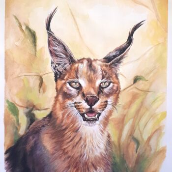 Pintura titulada "Caracal - Sous la c…" por Ghislaine Letourneur, Obra de arte original, Gouache Montado en Cartulina