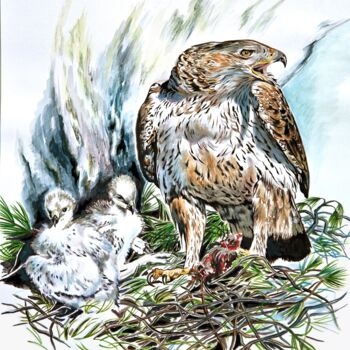 Peinture intitulée "Aigle de Bonelli -…" par Ghislaine Letourneur, Œuvre d'art originale, Gouache Monté sur Carton