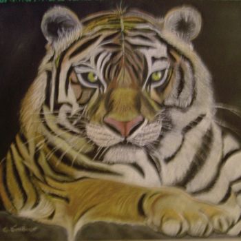 Painting titled "tigre de sibérie" by Ghislaine Limbour, Original Artwork, Pastel