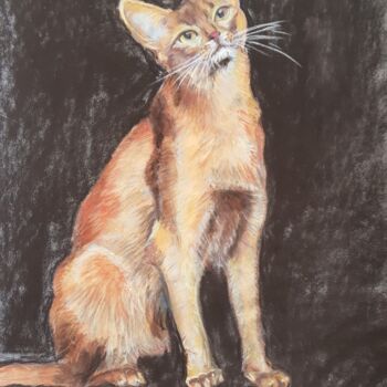 Drawing titled "chat abyssin" by Ghislaine Rimmen-Mohl, Original Artwork, Pastel