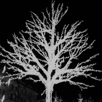 Fotografia zatytułowany „White tree” autorstwa Giart, Oryginalna praca, Fotografia cyfrowa
