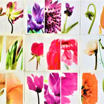 Photography titled "Flower palette" by Giart, Original Artwork, Digital Photography