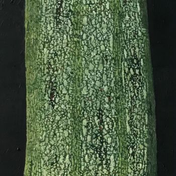 Pittura intitolato "Zucchina" da Simone Giaiacopi, Opera d'arte originale, Olio