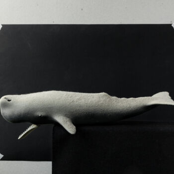 Photographie intitulée "la balena impolvera…" par Giancarlo Biscardi, Œuvre d'art originale, Photographie numérique