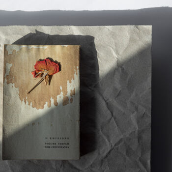 Fotografia intitolato "vecchio libro e ros…" da Giancarlo Biscardi, Opera d'arte originale, Fotografia digitale