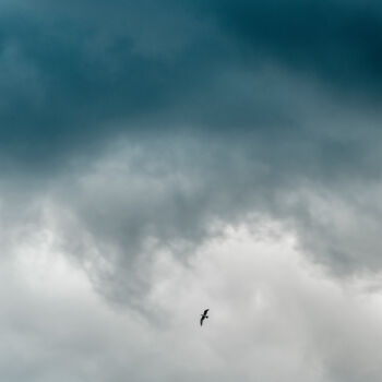 Photography titled "gabbiano e nuvole" by Giancarlo Biscardi, Original Artwork, Digital Photography