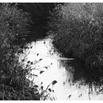 Photographie intitulée "Little river" par Gianluca Frasconi, Œuvre d'art originale, Photographie numérique
