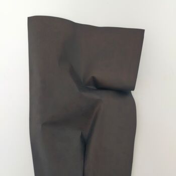 Sculpture titled "bacino" by Gianluigi Golfetto, Original Artwork, Paper