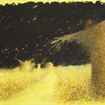 Pintura intitulada "Volando verso casa" por Gianni Pedrazzi, Obras de arte originais