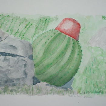 Peinture intitulée "cactus tete de Turc" par Gigi, Œuvre d'art originale