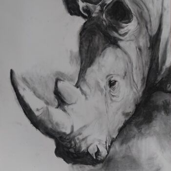 Рисунок под названием "Rhinocéros 1" - Gil Aline, Подлинное произведение искусства, Древесный уголь