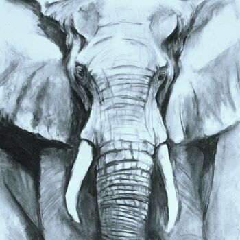 Dessin intitulée "Éléphant 2" par Gil Aline, Œuvre d'art originale, Fusain