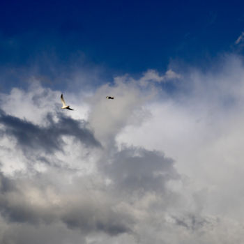 Photographie intitulée "sans titre ciel 1" par Gilles Mével, Œuvre d'art originale, Photographie non manipulée Monté sur Alu…