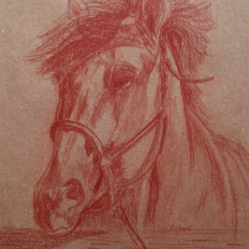 Tekening getiteld "tête de cheval" door Ginette Richard, Origineel Kunstwerk, Conté