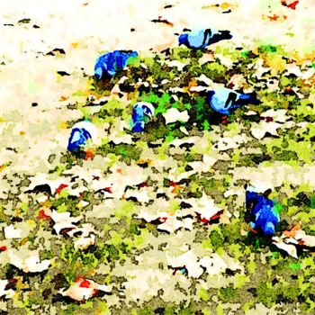 Digitale Kunst mit dem Titel "Piccioni blu (2)" von Giuseppe Cocco, Original-Kunstwerk, Aquarell