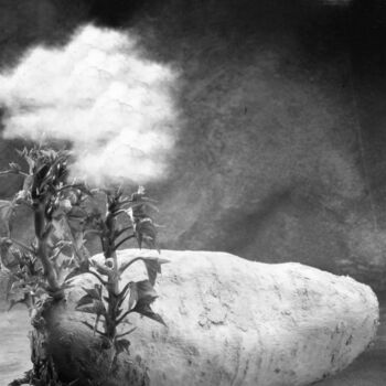 Fotografia intitulada "Natura morta con nu…" por Giuseppe Persia, Obras de arte originais, Fotografia Manipulada Montado em…