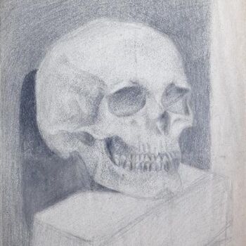 Tekening getiteld "Skull 2" door Gizella Fejes, Origineel Kunstwerk, Anders
