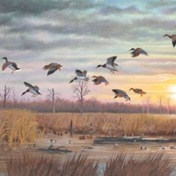 Malerei mit dem Titel "Sunset Mallards" von Jerrie Glasper, Original-Kunstwerk, Öl