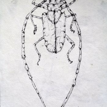 Dessin intitulée "Beetle" par Michele Carosella, Œuvre d'art originale, Encre