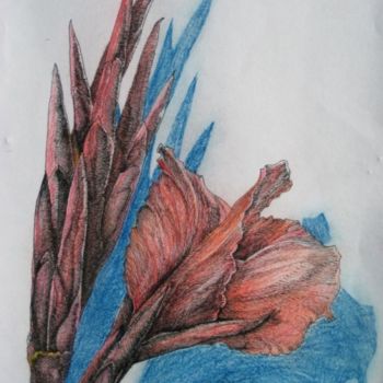 Tekening getiteld "Study - Red Canna L…" door Glenn Durrance, Origineel Kunstwerk, Anders