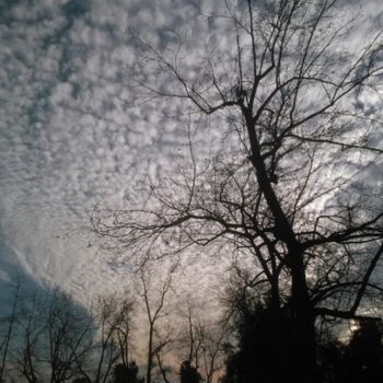 「January Clouds」というタイトルの写真撮影 Glenn Durranceによって, オリジナルのアートワーク
